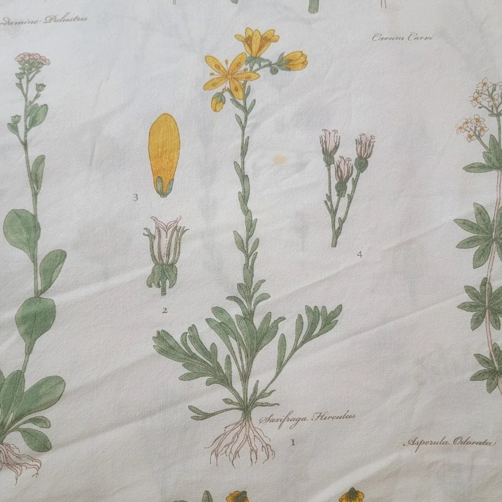 IKEA STRANDKRYPA King Duvet Cover Botanical Wildflower Floral Print 100% Cotton